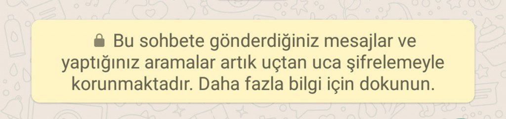 whatsapp-1004